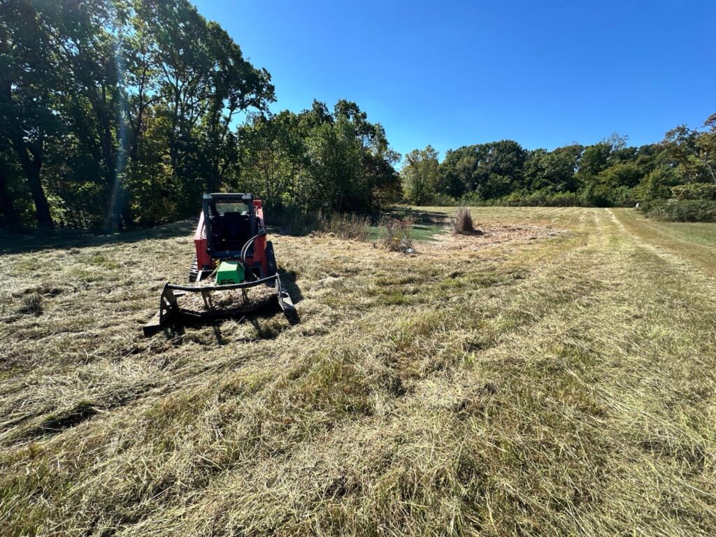 Brush and land clearing