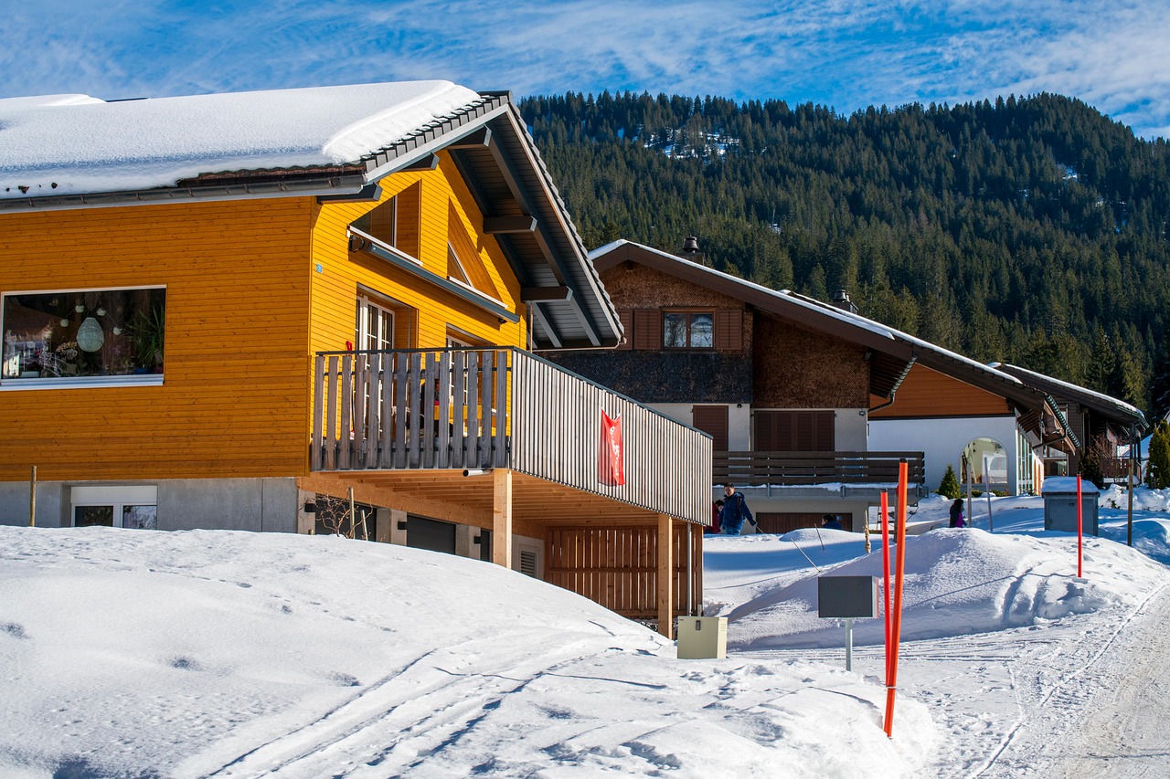 houses, village, winter, snow, nature, driveway, snowdrift, alps, town, brunni, canton of schwyz, switzerland, trees, mountain, buildings, architecture