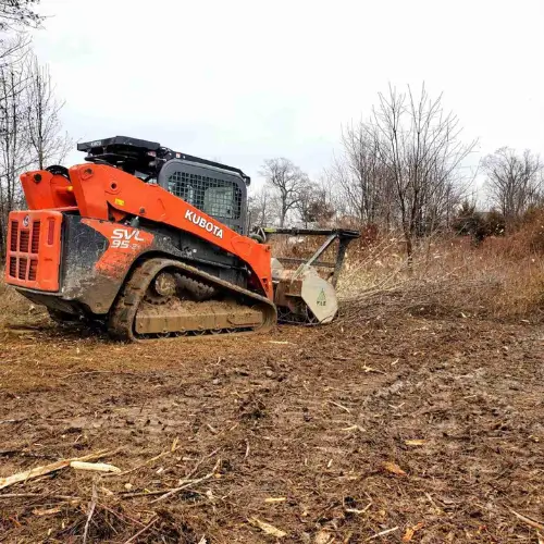 Forestry Mulching Services